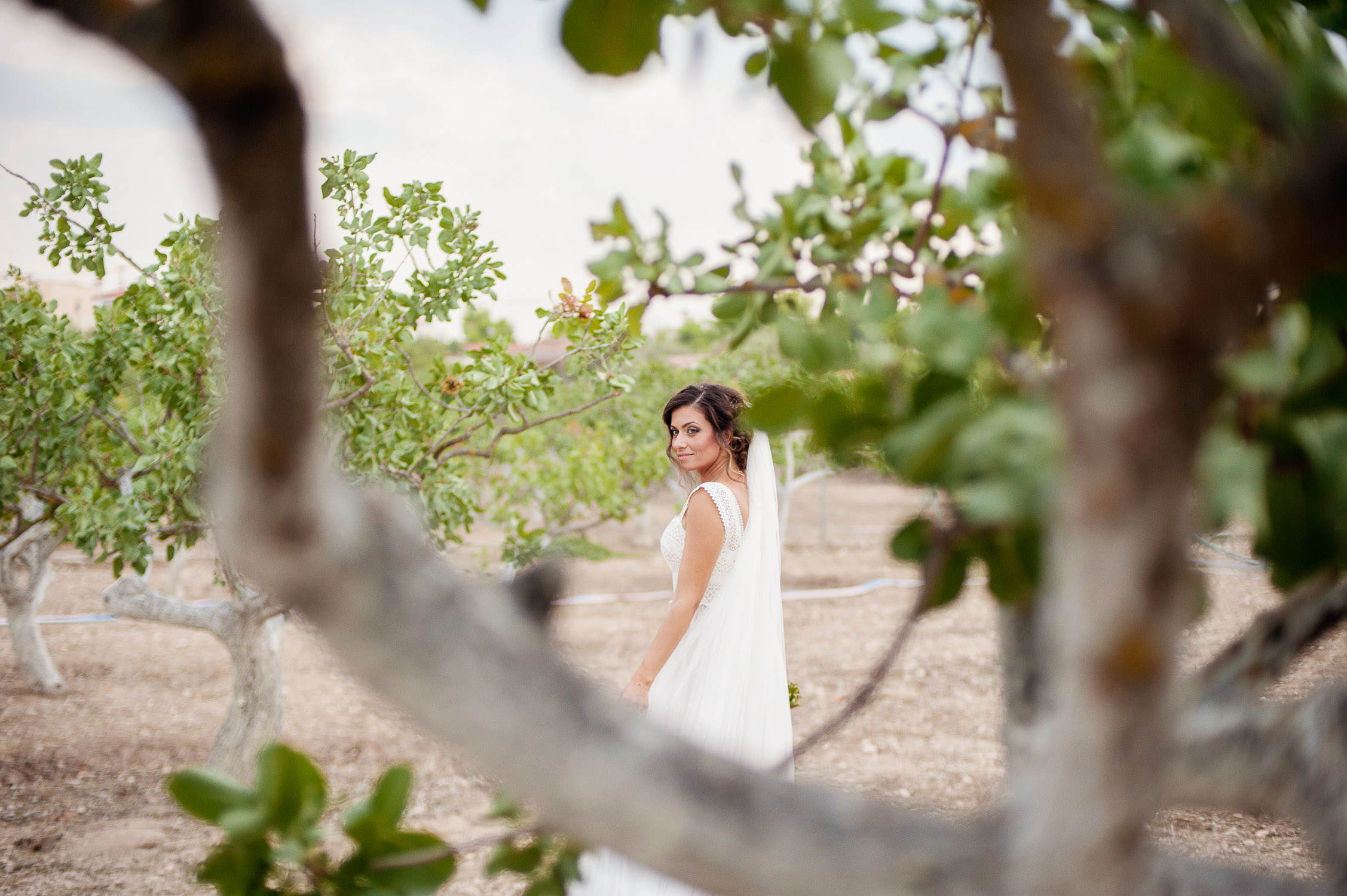 wedding_aegina_greece